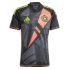 Camisola Guarda-Redes Alemanha Homen Equipamento 1ª Euro 2024